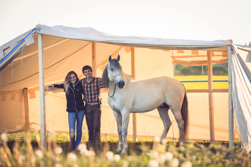 Equilumina-Zelten-mit-Pferd (5)
